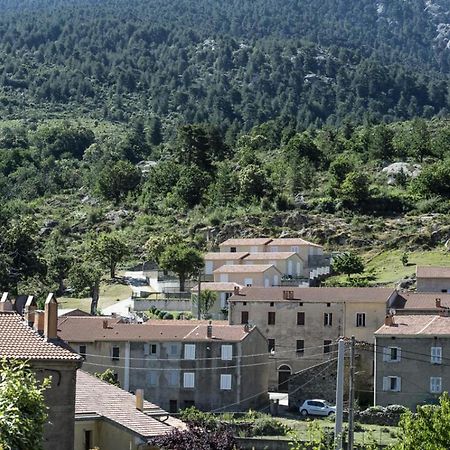 Terrasse De Malbeccu Villa Casamaccioli Dış mekan fotoğraf