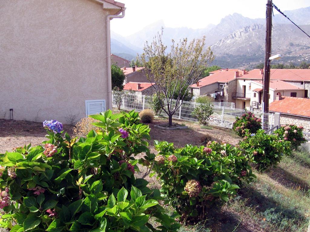 Terrasse De Malbeccu Villa Casamaccioli Oda fotoğraf