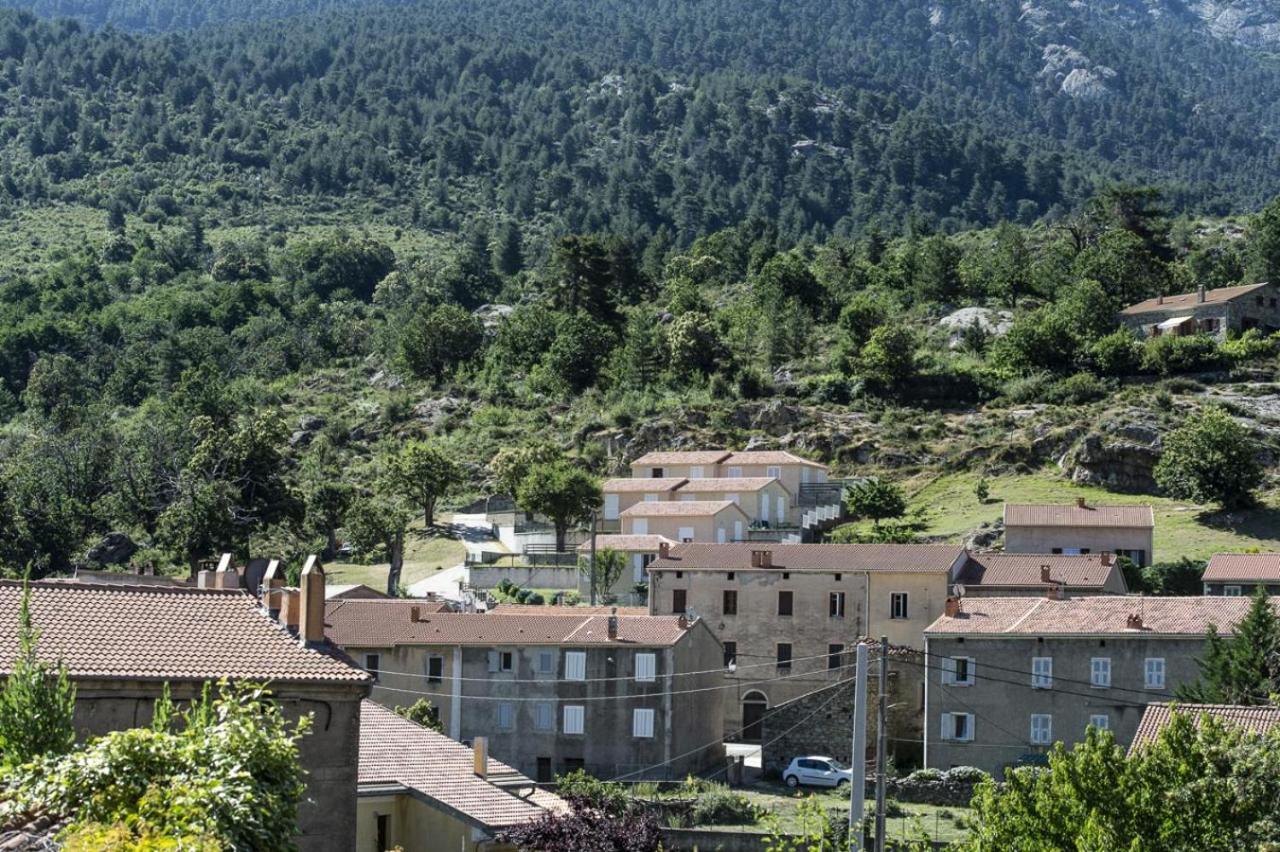 Terrasse De Malbeccu Villa Casamaccioli Dış mekan fotoğraf